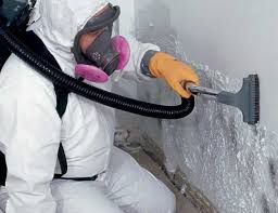 Best Emergency Mold Remediation in Gra Forks, ND